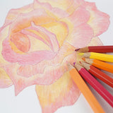 Camlin Colour Pencils 24 shade